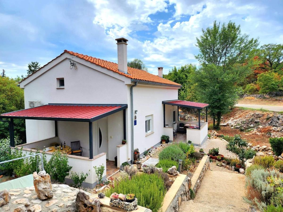 Iva Apartmán
